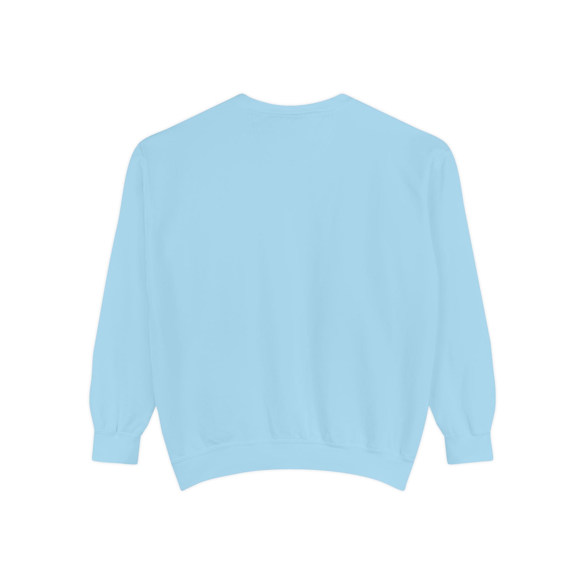 Altered Garments Embroidered Garment-Dyed Sweatshirt