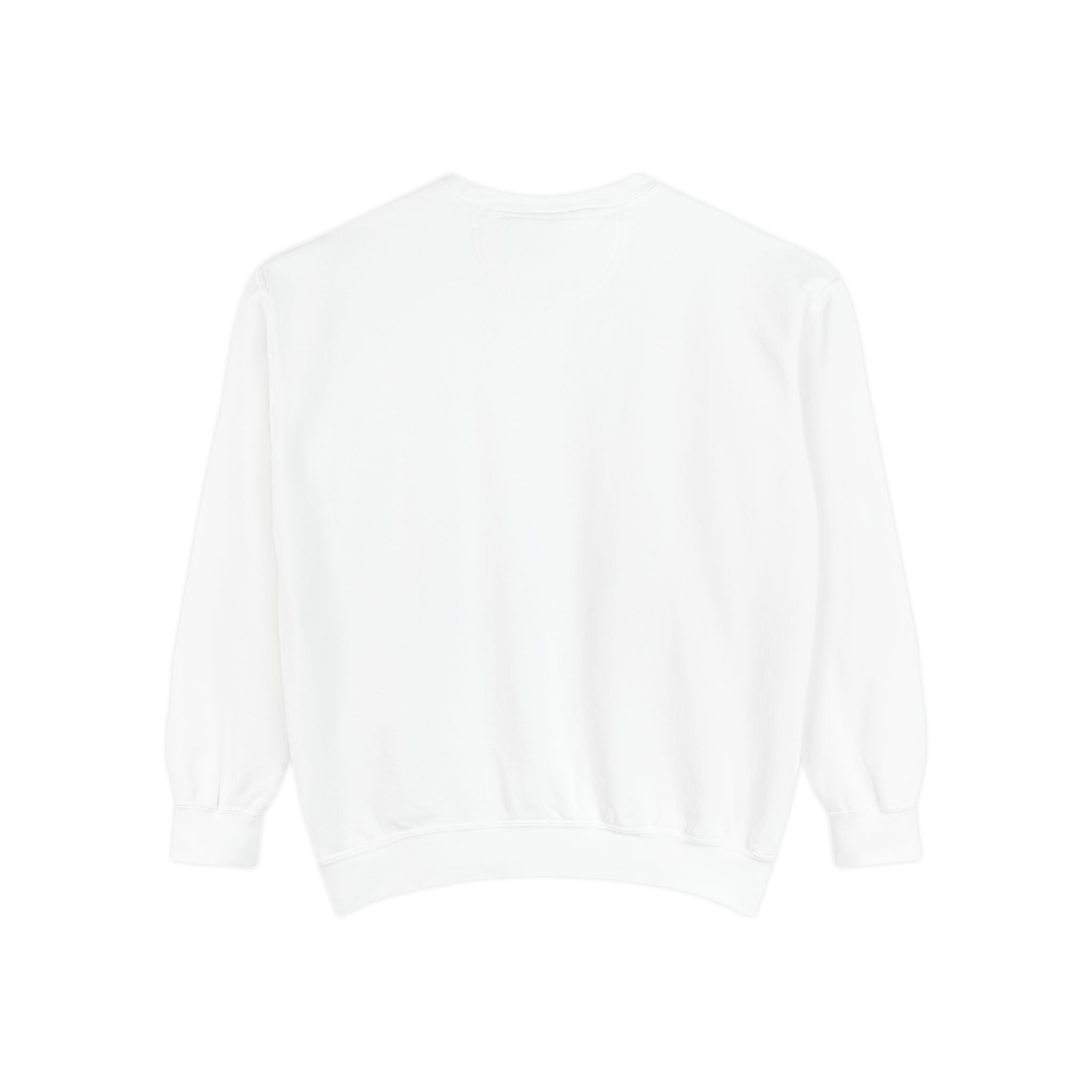 Altered Garments Embroidered Garment-Dyed Sweatshirt