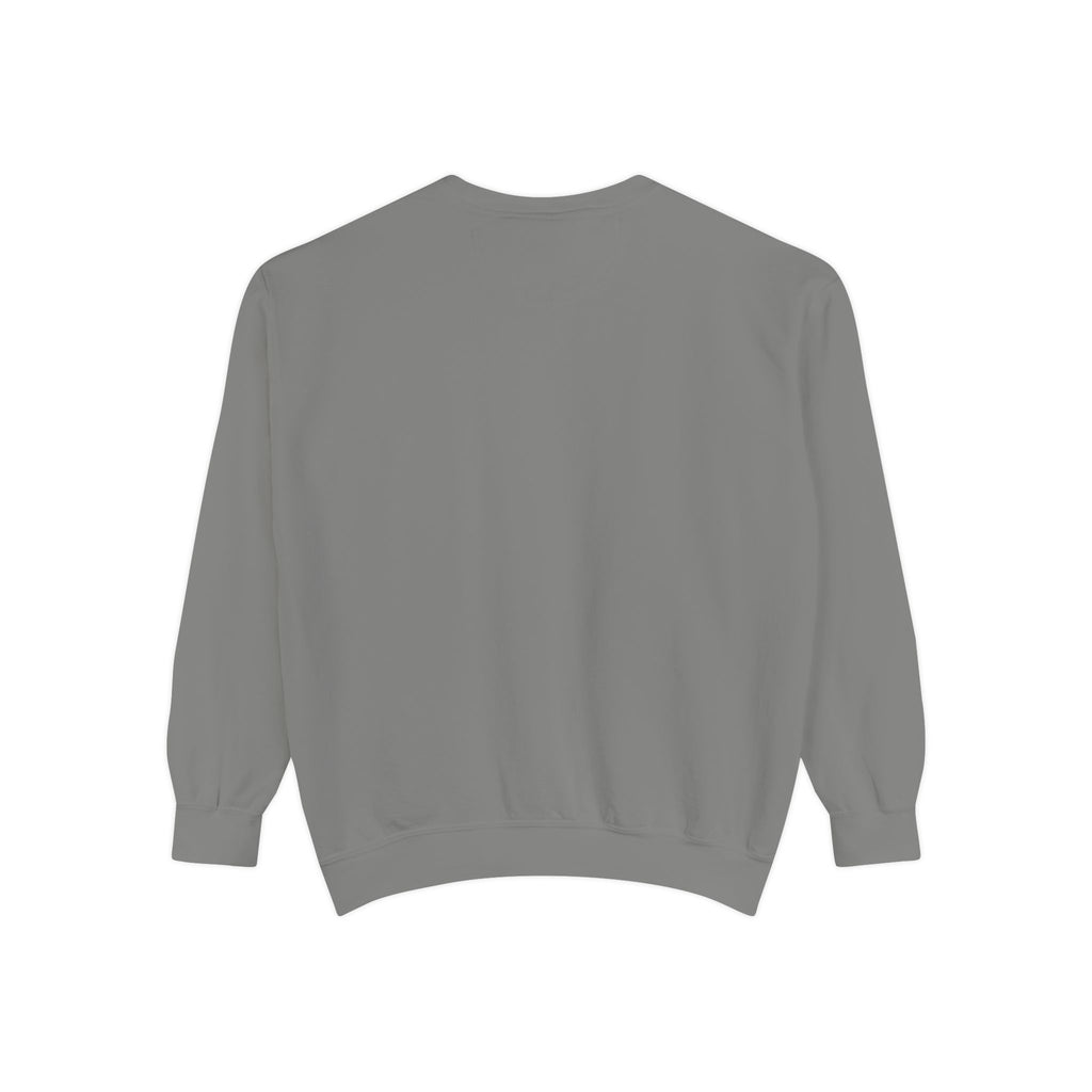 Altered Garments Embroidered Garment-Dyed Sweatshirt