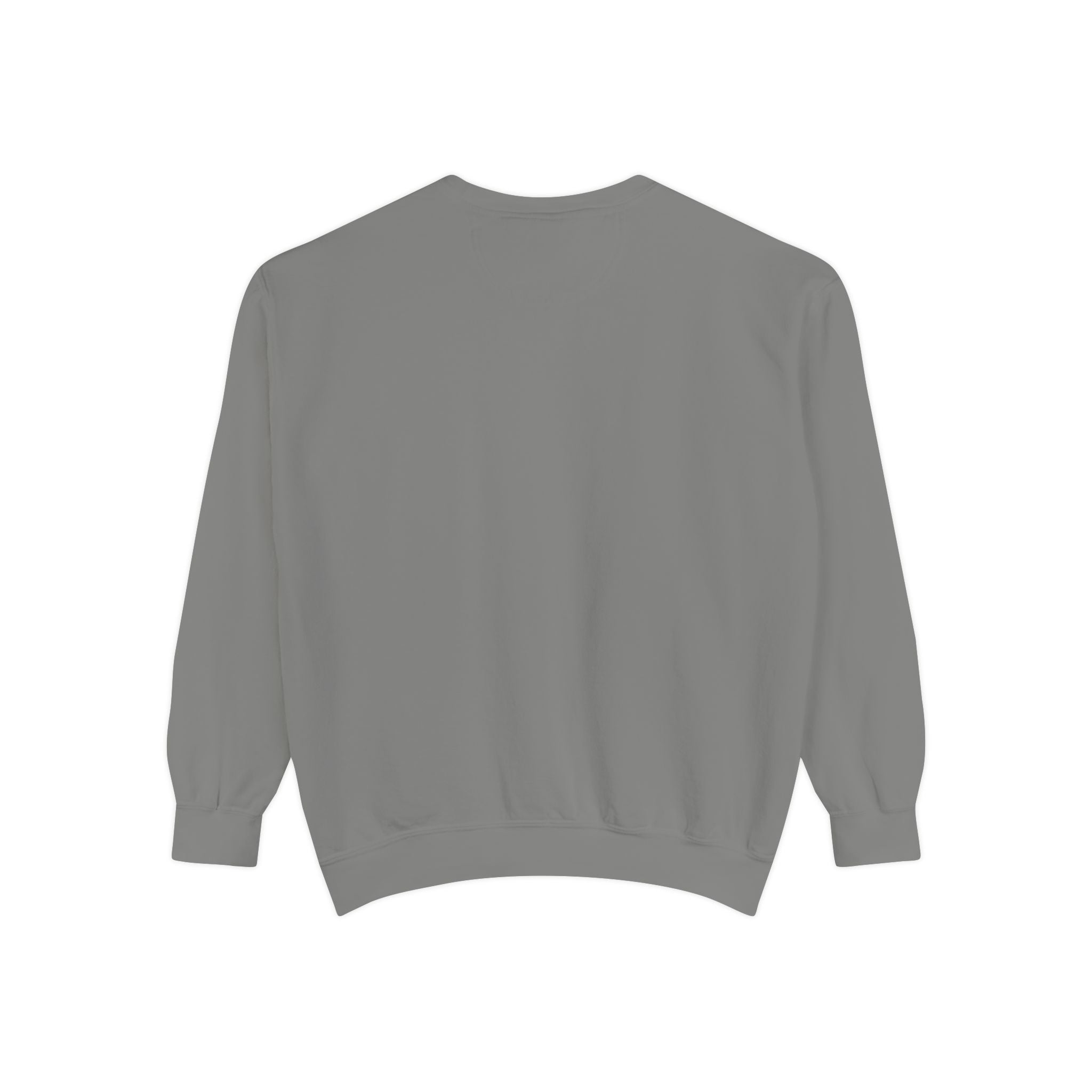 Altered Garments Embroidered Garment-Dyed Sweatshirt