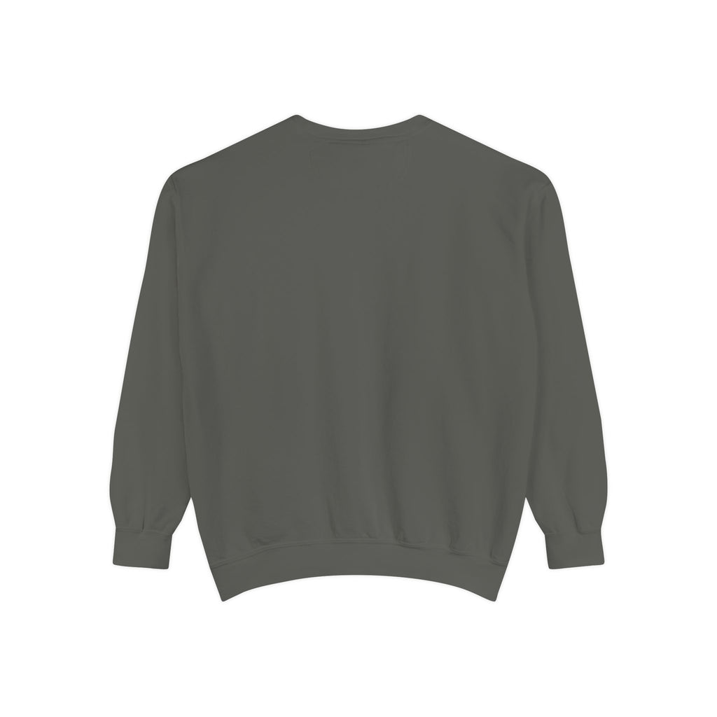 Altered Garments Embroidered Garment-Dyed Sweatshirt