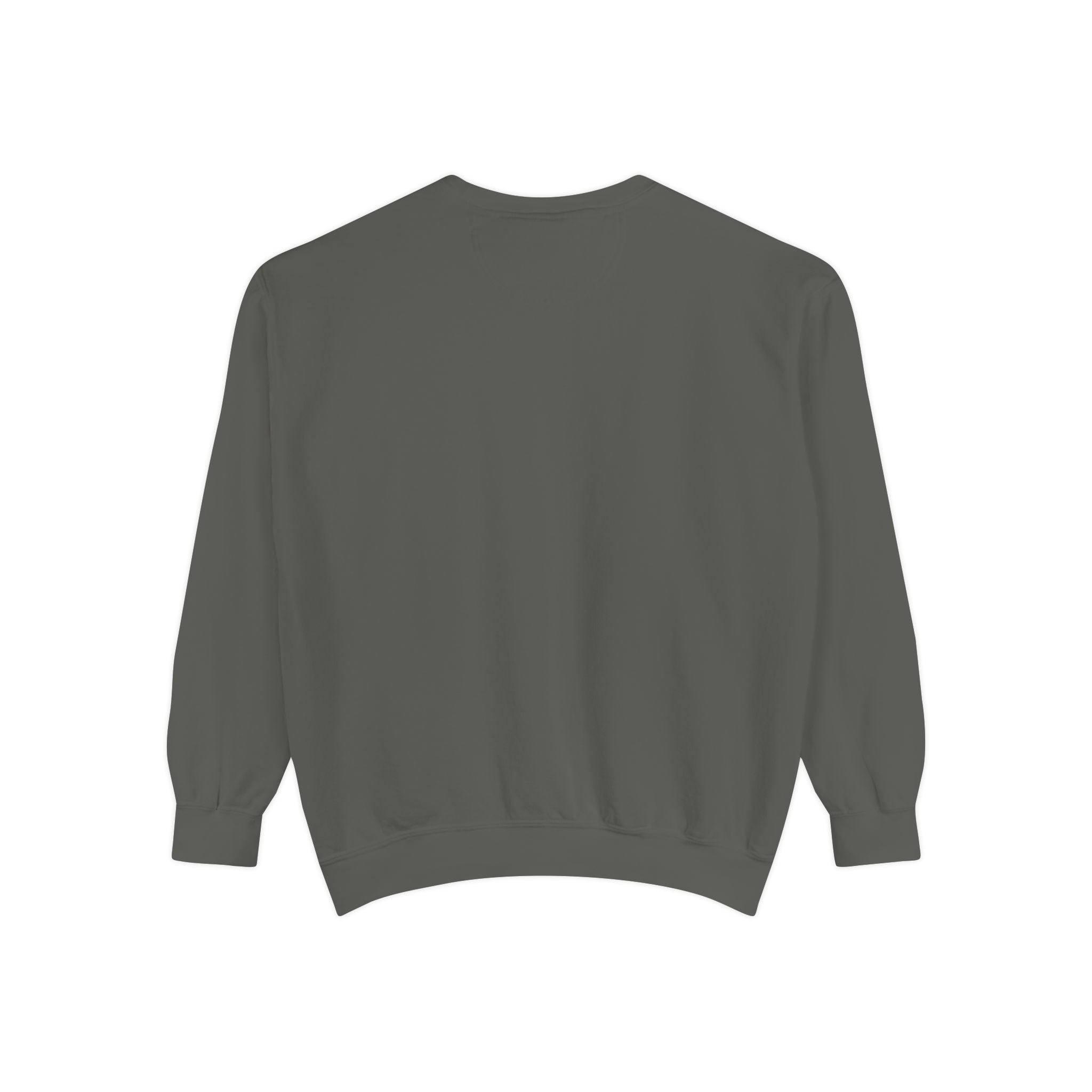 Altered Garments Embroidered Garment-Dyed Sweatshirt